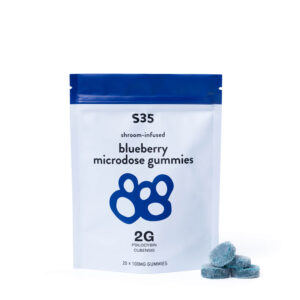 Blueberry Gummies 100mg